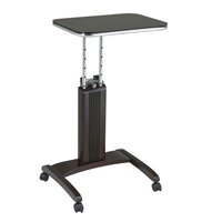 Multimedia Carts & Stands