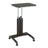 Multimedia Carts & Stands