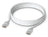 Ubiquiti UACC-Cable-Patch-EL-5M-W networking cable Translucent, White 196.9" (5 m) Cat6